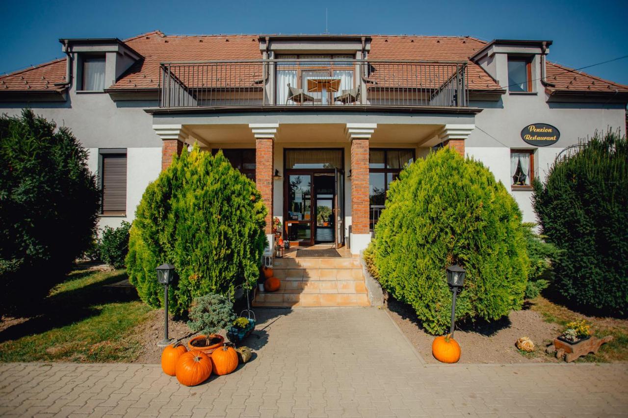 Penzion Platan Dunajská Streda Εξωτερικό φωτογραφία